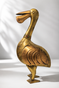 Golden Pelican (S)